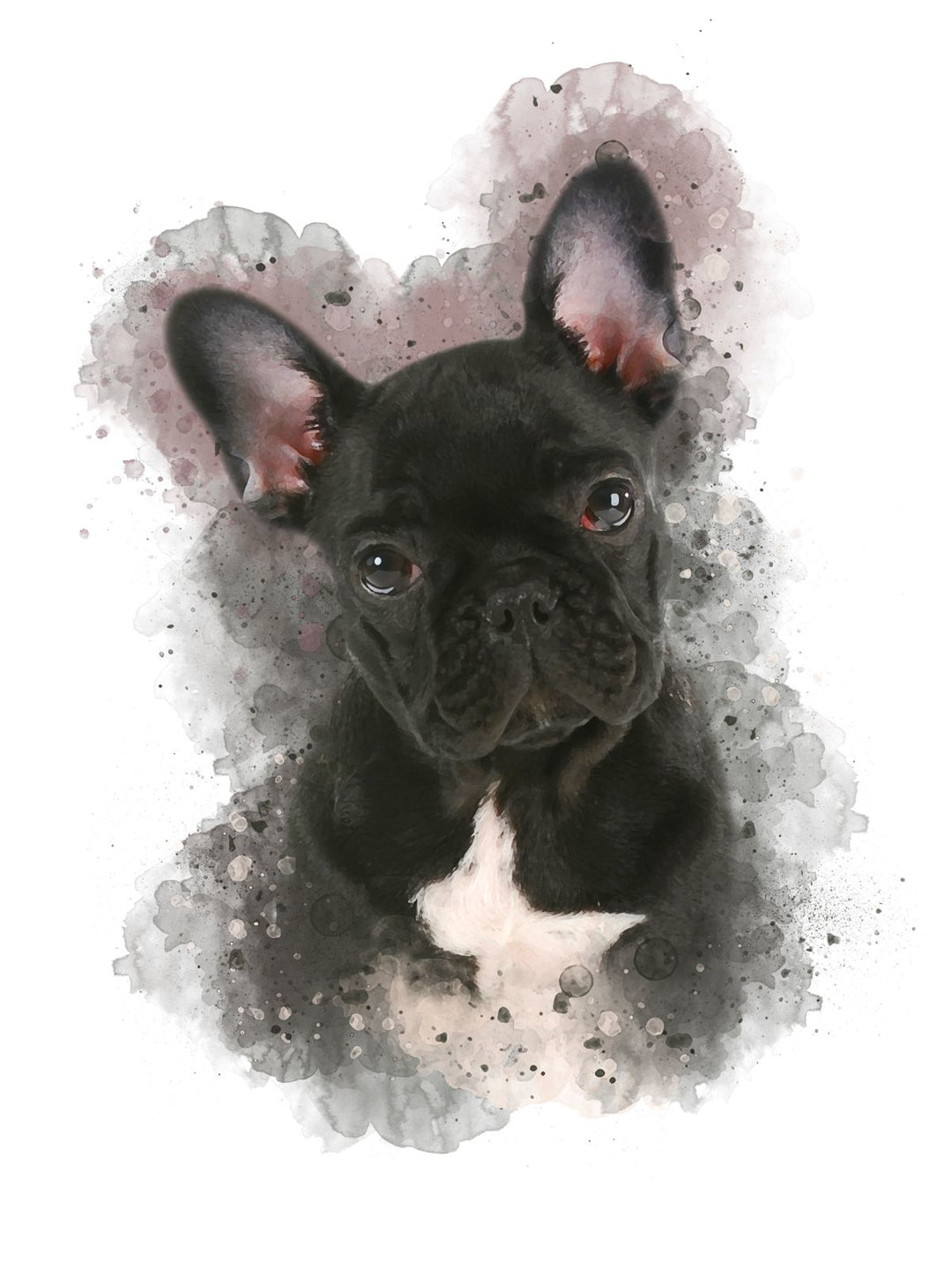 Vector - Retrato de Mascota