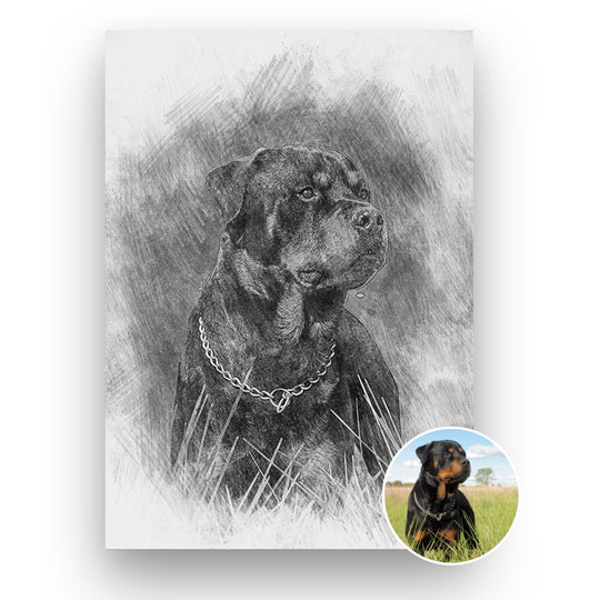 Sketched - Pet Portrait